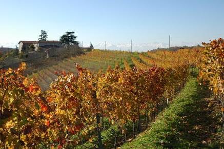 autunno-3
