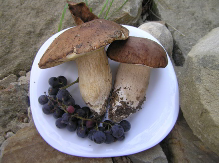 culinaria-1