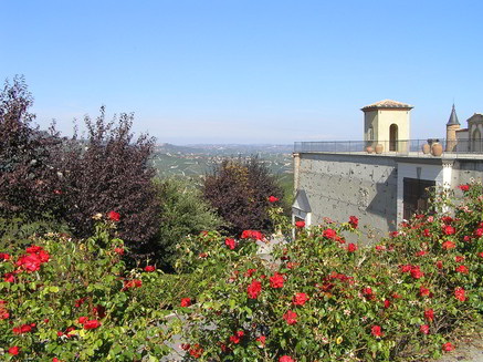 estate-6