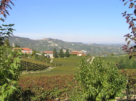 estate-7