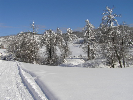 inverno-5