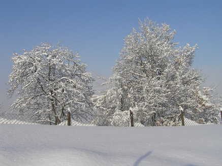 inverno-8