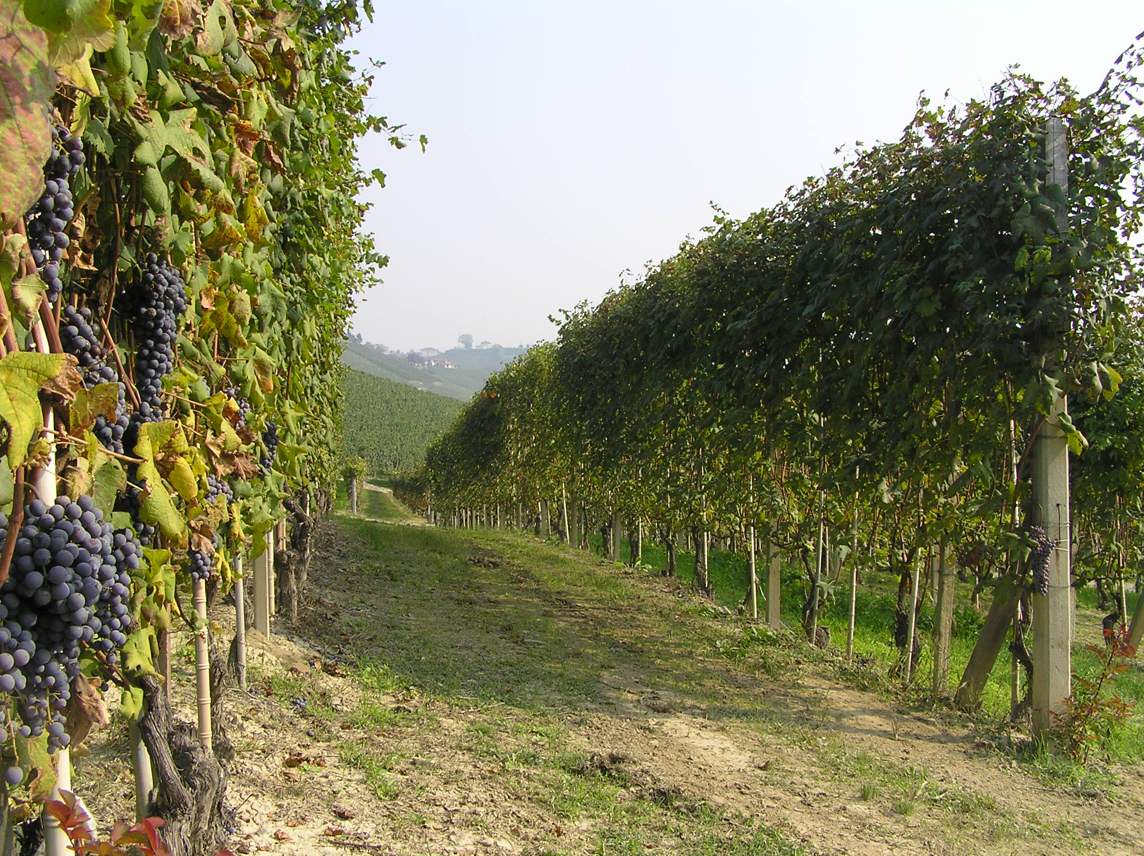 paesaggio-5