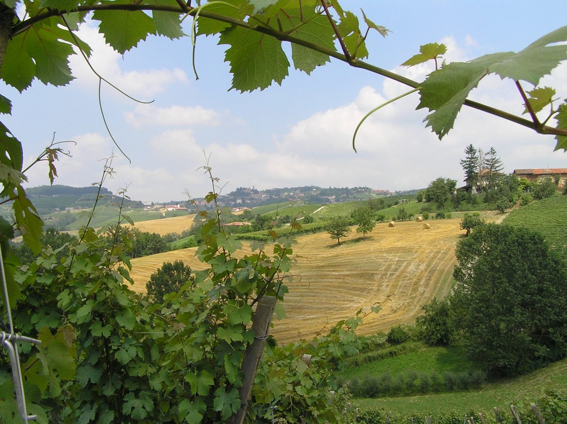 paesaggio-6