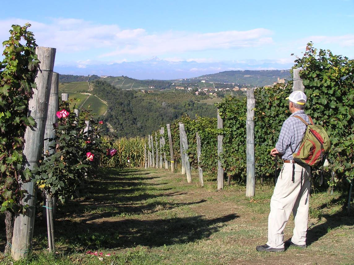 paesaggio-9