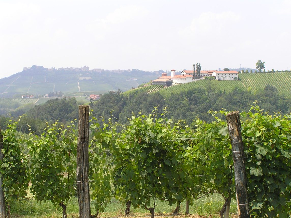 paesaggio-10