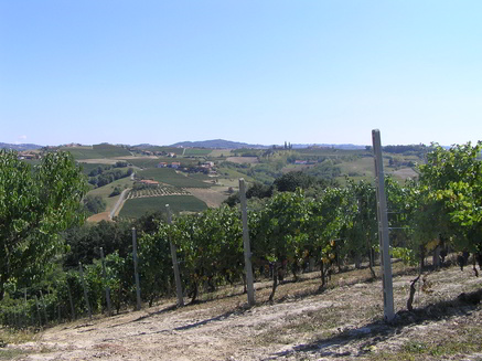 paesaggio-16