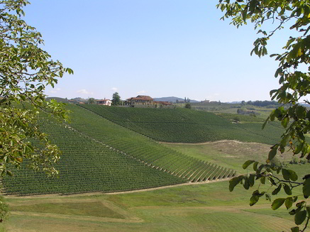 paesaggio-17