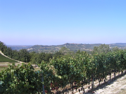 paesaggio-18
