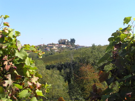 paesaggio-19