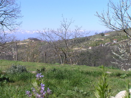 primavera-3